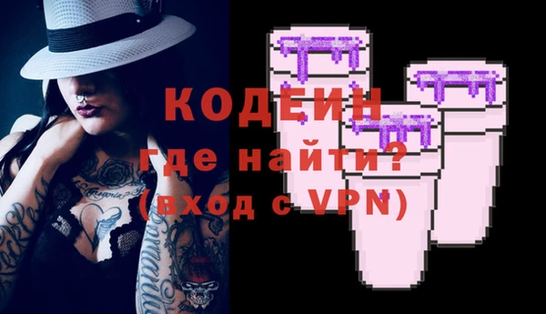 прущие грибы Великий Новгород